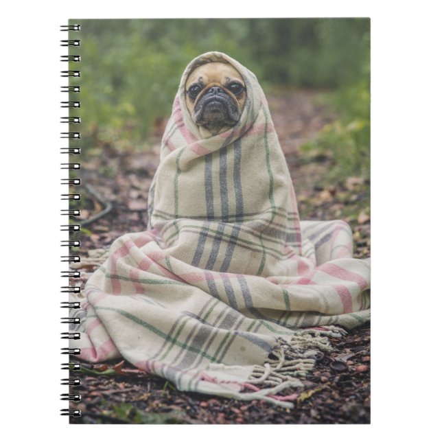 Mops in einem Blanket-Spiral-Notebook Notizblock (Vorderseite)