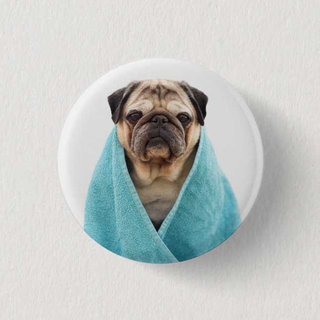 Mops in einem Handtuch Button (Vorderseite)