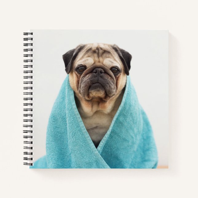 Mops in einem Handtuch Notizbuch (Vorderseite)