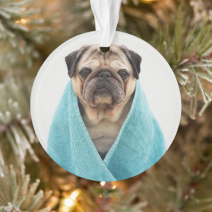 Mops in einem Handtuch Ornament