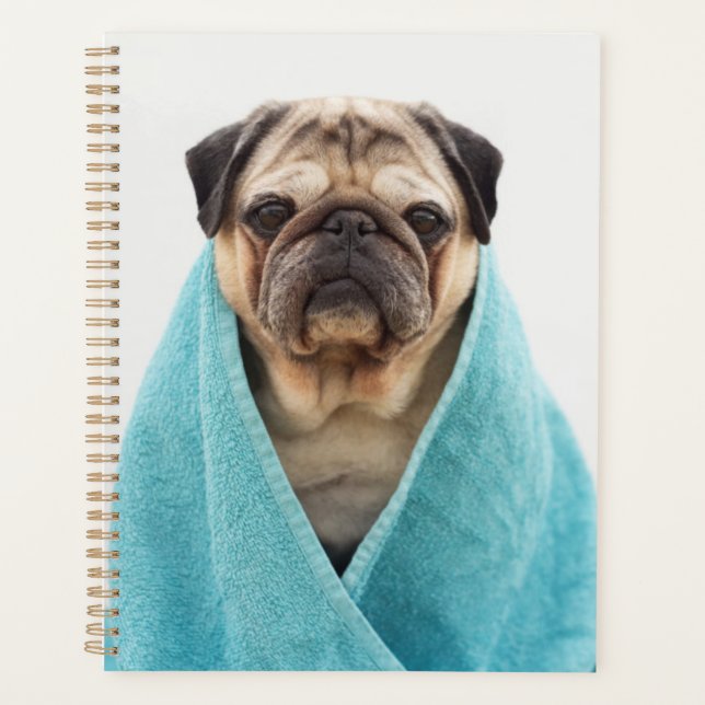 Mops in einem Handtuch Planer (Vorderseite)