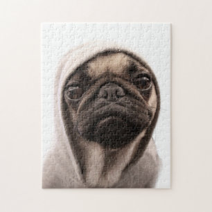 Mops in einem Hoodie