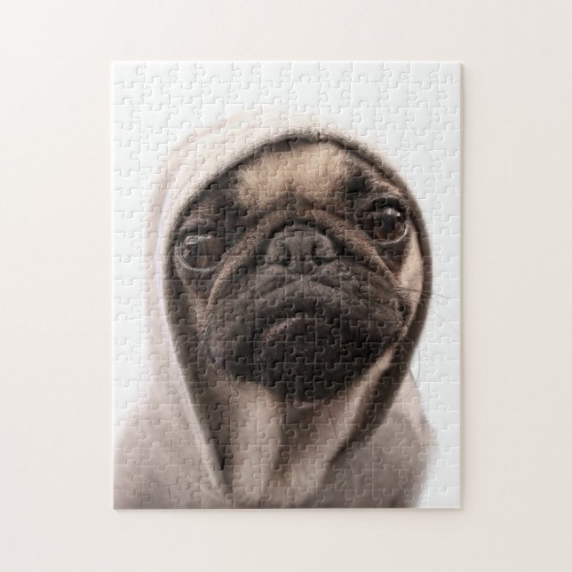 Mops in einem Hoodie (Vertikal)
