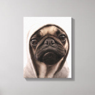 Mops in einem Hoodie Leinwanddruck
