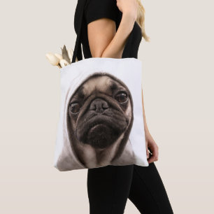 Mops in einem Hoodie Tasche