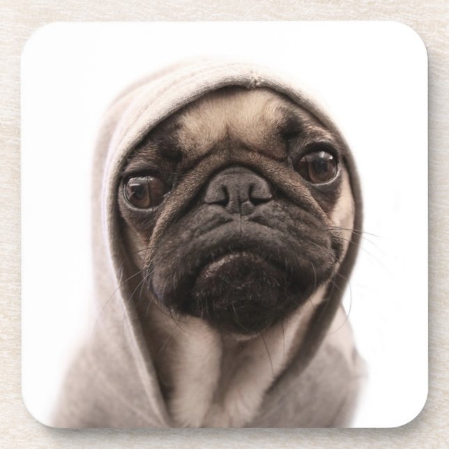 Mops in einem Hoodie Untersetzer (Vorderseite)