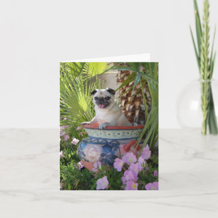 Mops in einem Jug Karte
