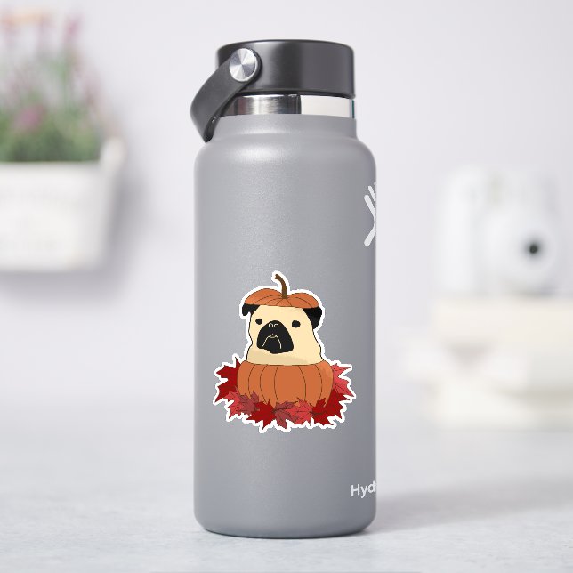 Mops in einem Kürbis Aufkleber (HydroFlask)