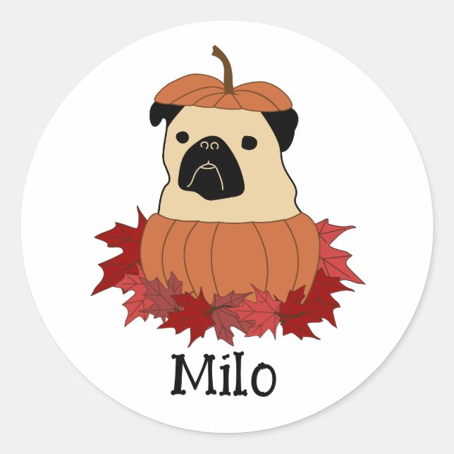 Mops in einem Kürbis Runder Aufkleber (Vorderseite)