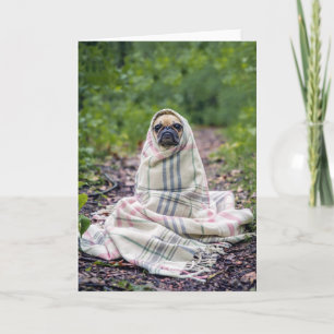 Mops in einer Blankette Karte