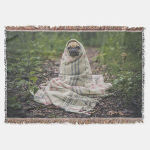 Mops in einer Decke