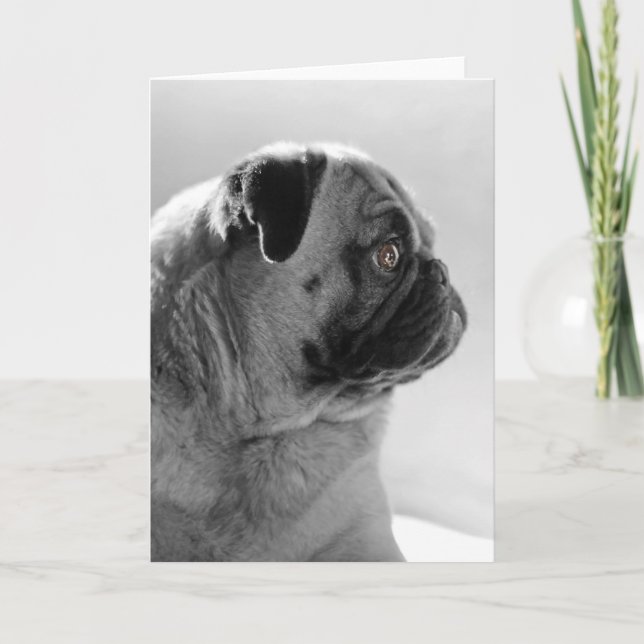 Mops in Profil Karte (Vorderseite)