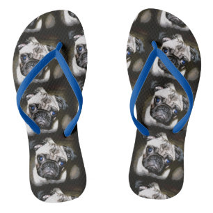 Mops ist schwarz flip flops