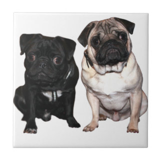Mops Jack und Richi Fliese