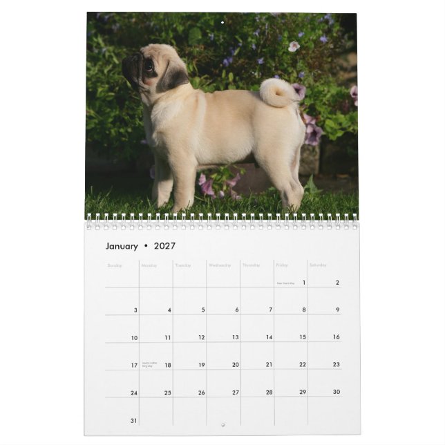 Mops Kalender (Jan 2027)