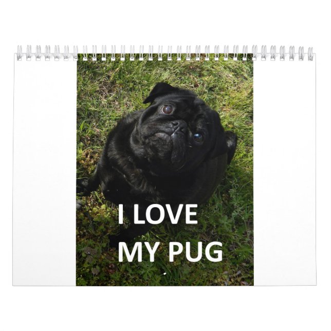 Mops Kalender (Titelbild)