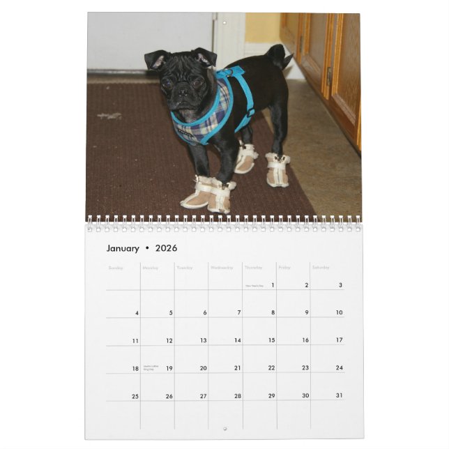 Mops-Kalender 2012 Kalender (Jan 2026)