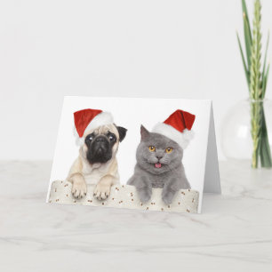 Mops & Katze - Weihnachtskarte Karte