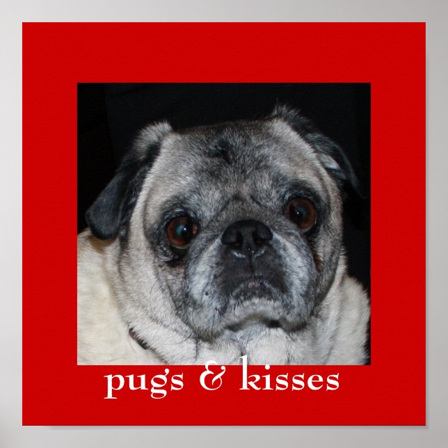 Mops & Kisses Poster (Vorne)