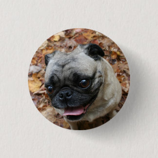 Mops-Knopf Button