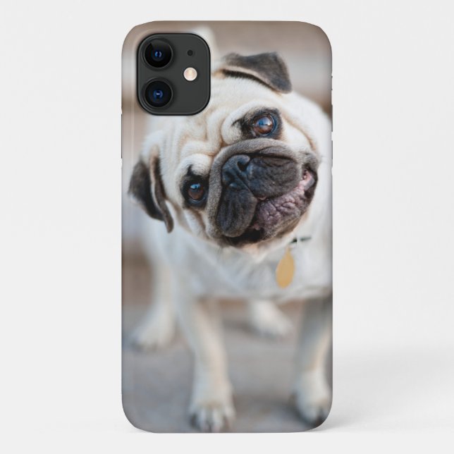 Mops-Kopfneigung Case-Mate iPhone Hülle (Rückseite)