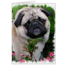 Mops Kunstgeschenke