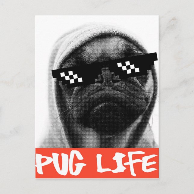 Mops Life Postkarte (Vorderseite)