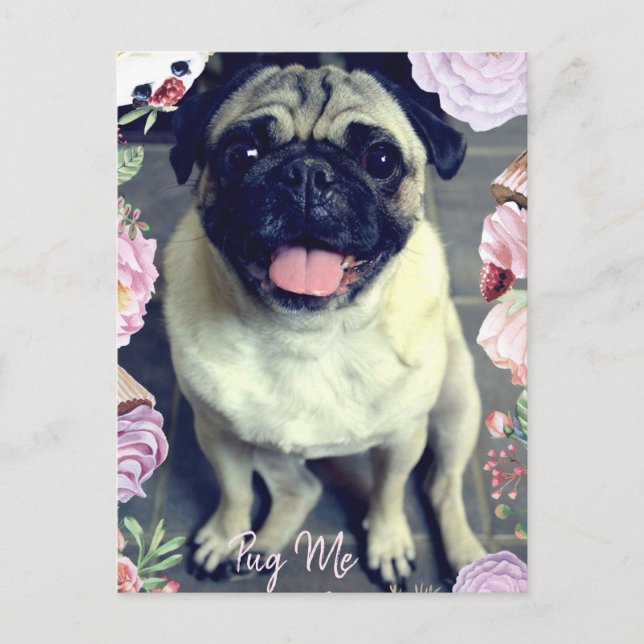 Mops Me - Happy Mops Postkarte (Vorderseite)