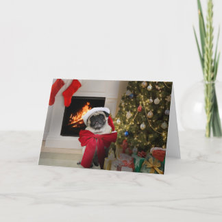 Mops Misha, das nur einen Bogen für Weihnachten