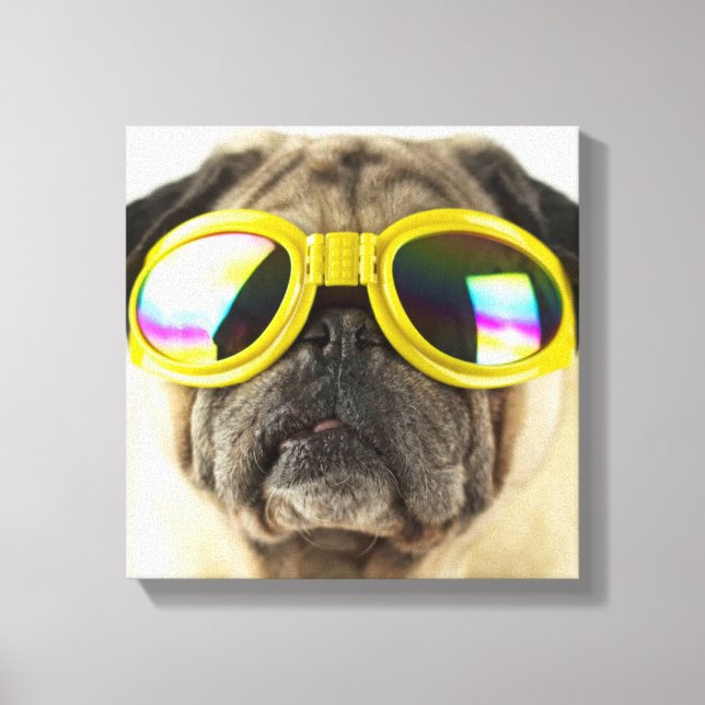 Mops mit Brille Leinwanddruck (Vorderseite)