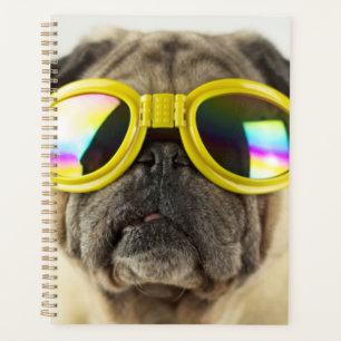 Mops mit Brille Planer
