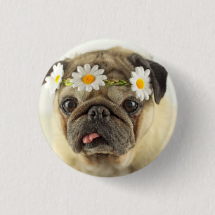 Mops mit Daisy Crown Button