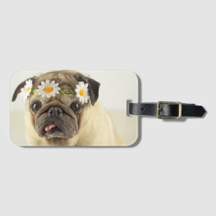 Mops mit Daisy Crown Gepäckanhänger