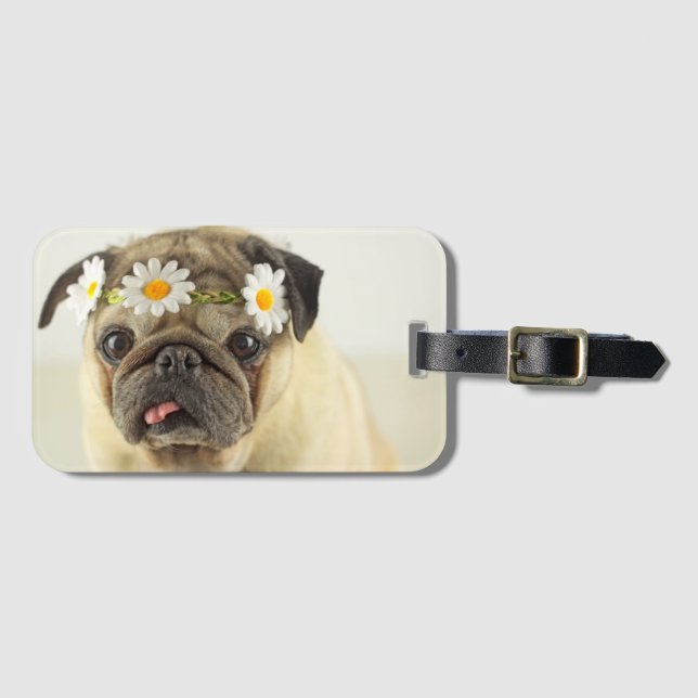 Mops mit Daisy Crown Gepäckanhänger (Vorderseite (Horizontal))