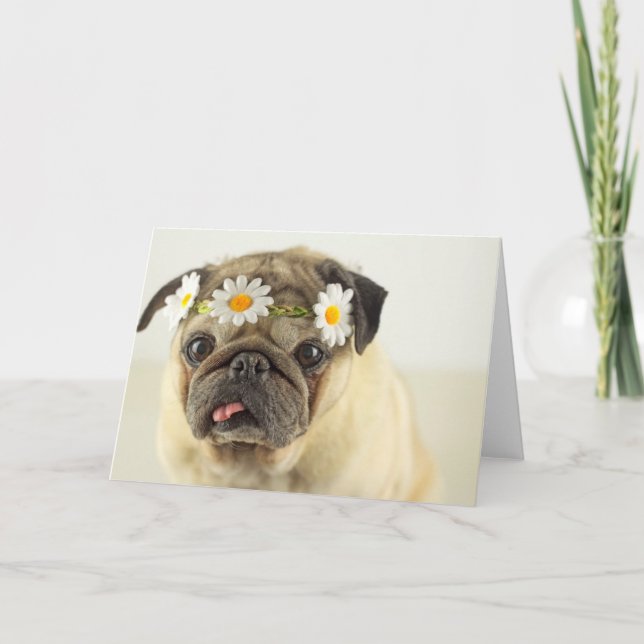 Mops mit Daisy Crown Karte (Vorderseite)