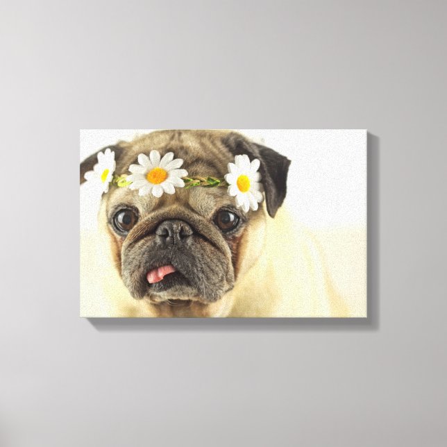 Mops mit Daisy Crown Leinwanddruck (Vorderseite)