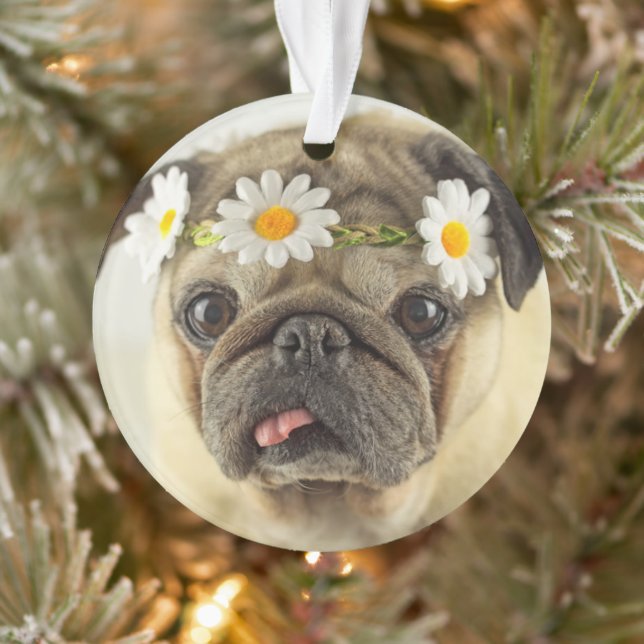 Mops mit Daisy Crown Ornament (Baum)