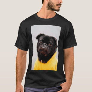 Mops mit einem gelben 946 T-Shirt
