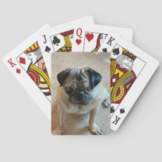 Mops mit einem Mit Augen Jack, der Karten spielt Spielkarten