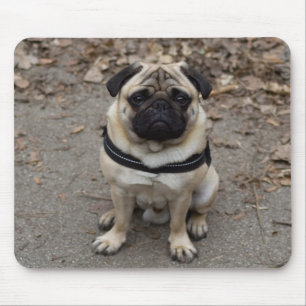 Mops Mousepad