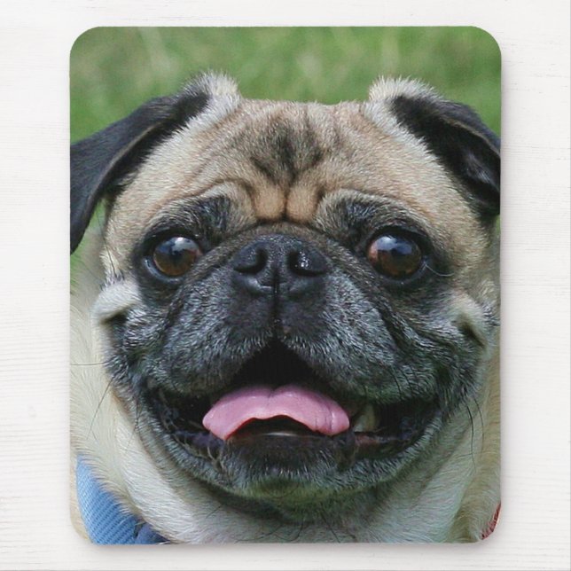 Mops mousepad (Vorne)