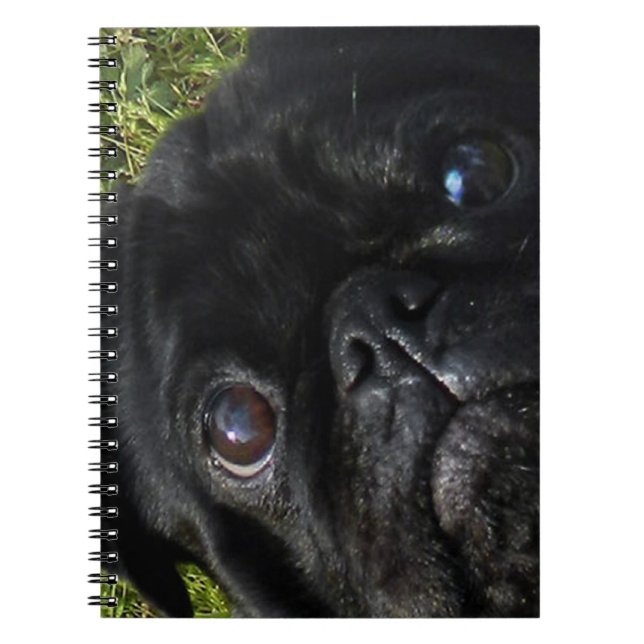 Mops Notizblock (Vorderseite)