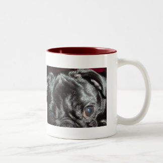 Mops Oben-Nah - "hier betrachtet Sie " Zweifarbige Tasse