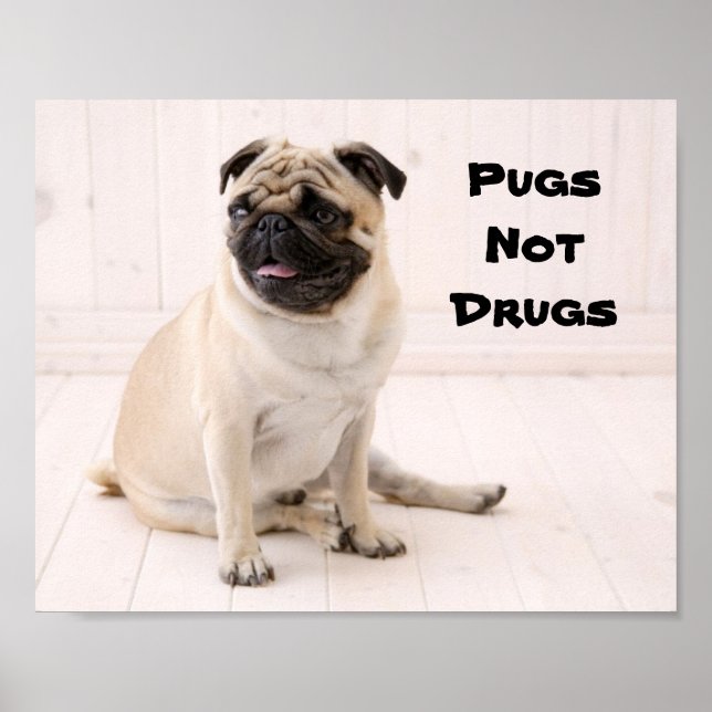 Mops ohne Drogen-Poster Poster (Vorne)