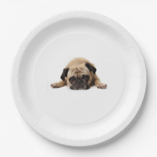 MOPS PAPIERPLATTE PAPPTELLER