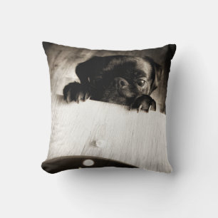Mops pinkeln in bw kissen