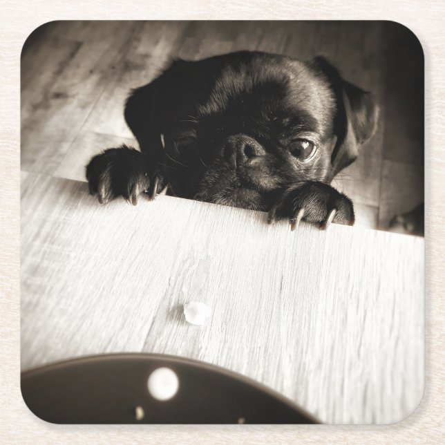 Mops pinkeln in bw rechteckiger pappuntersetzer (Vorderseite)