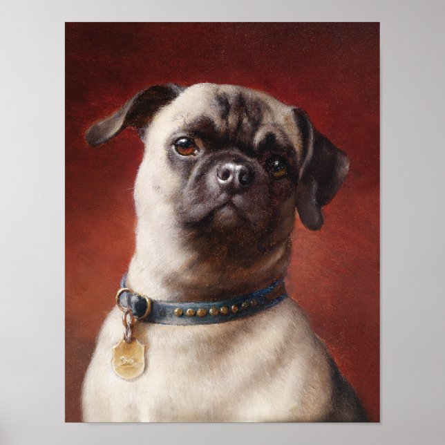 Mops Plakat (Vorne)