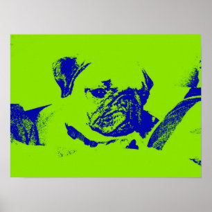 Mops Plakat-Grün Poster