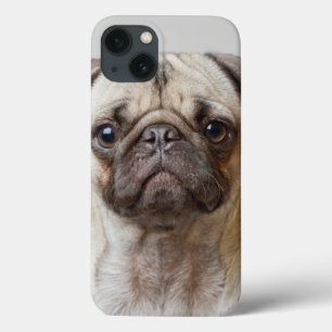 Mops Portrait Case-Mate iPhone Hülle